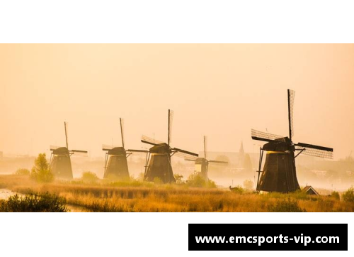 探索欧洲风能未来：WINDEUROPE的新视角