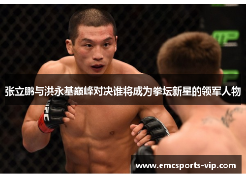 张立鹏与洪永基巅峰对决谁将成为拳坛新星的领军人物